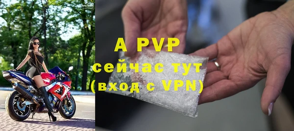 мяу мяу мука Гусиноозёрск