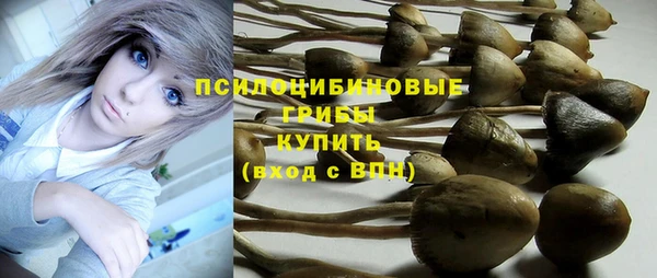 кокаин премиум Гусев