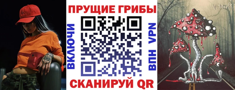 Галлюциногенные грибы GOLDEN TEACHER  omg как зайти  Дзержинск 